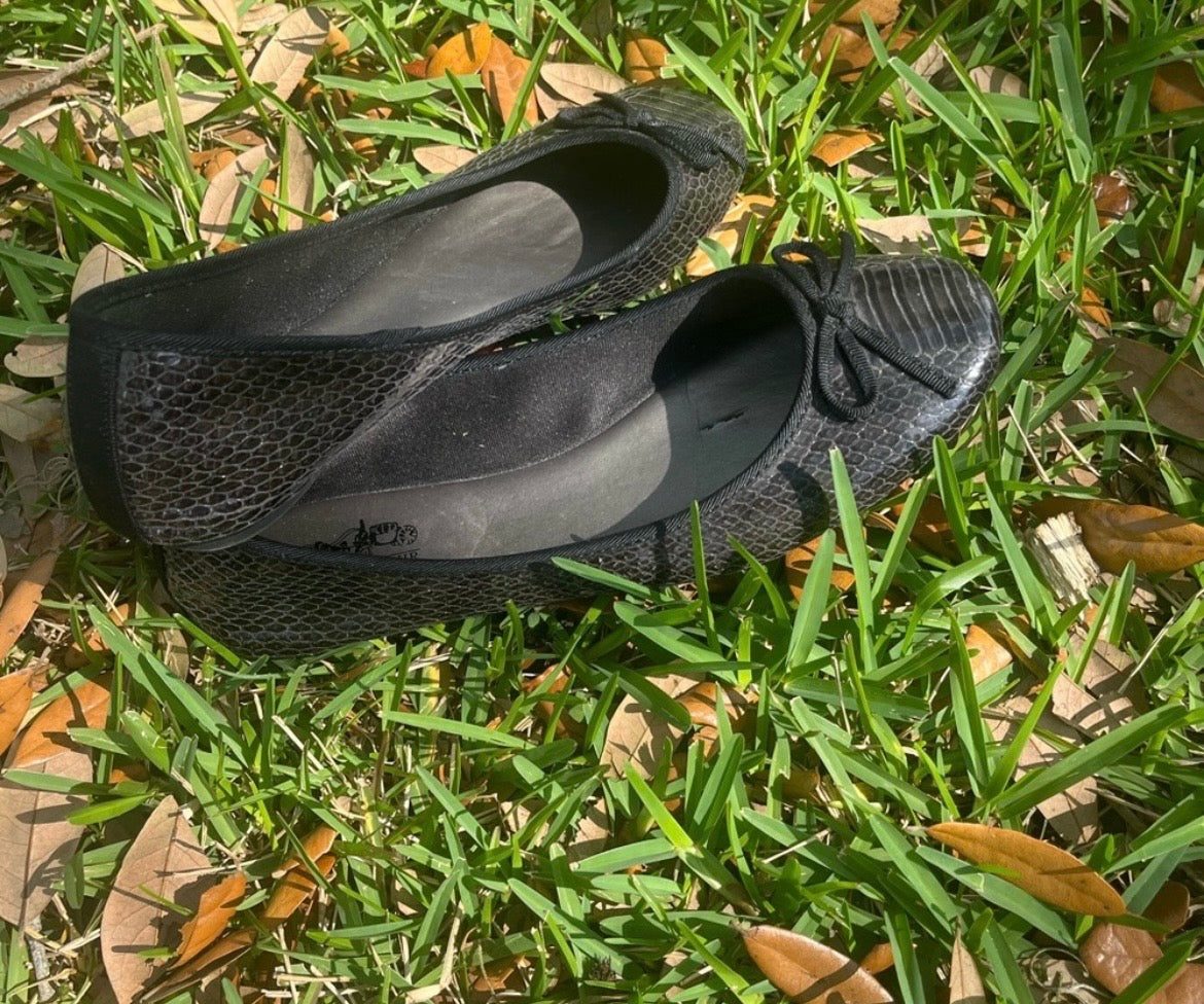 Coach and Four Flats