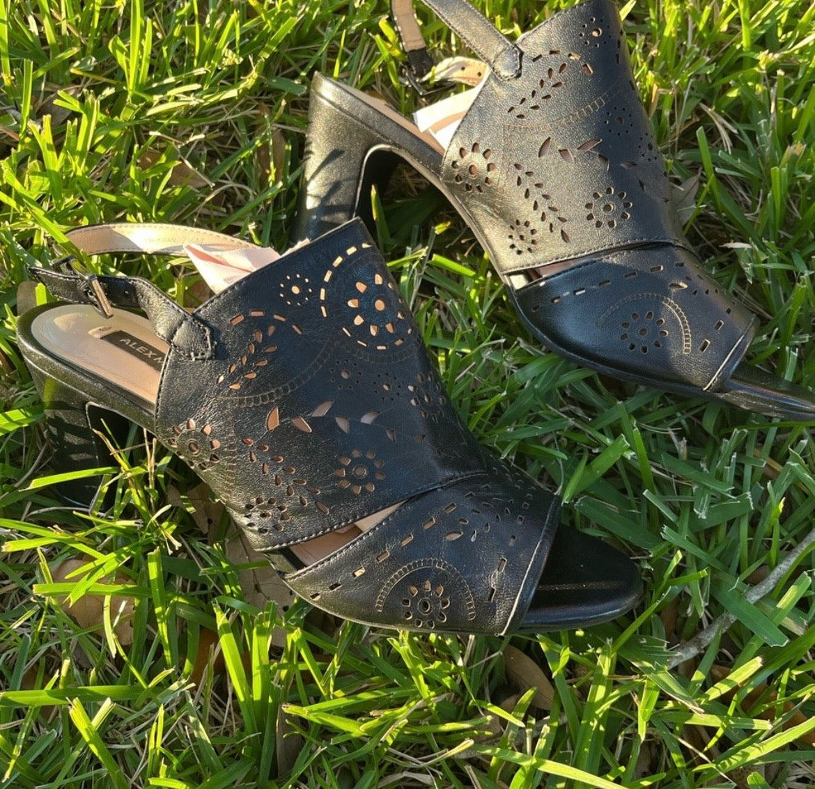 Alex Marie Black Leather Wedges
