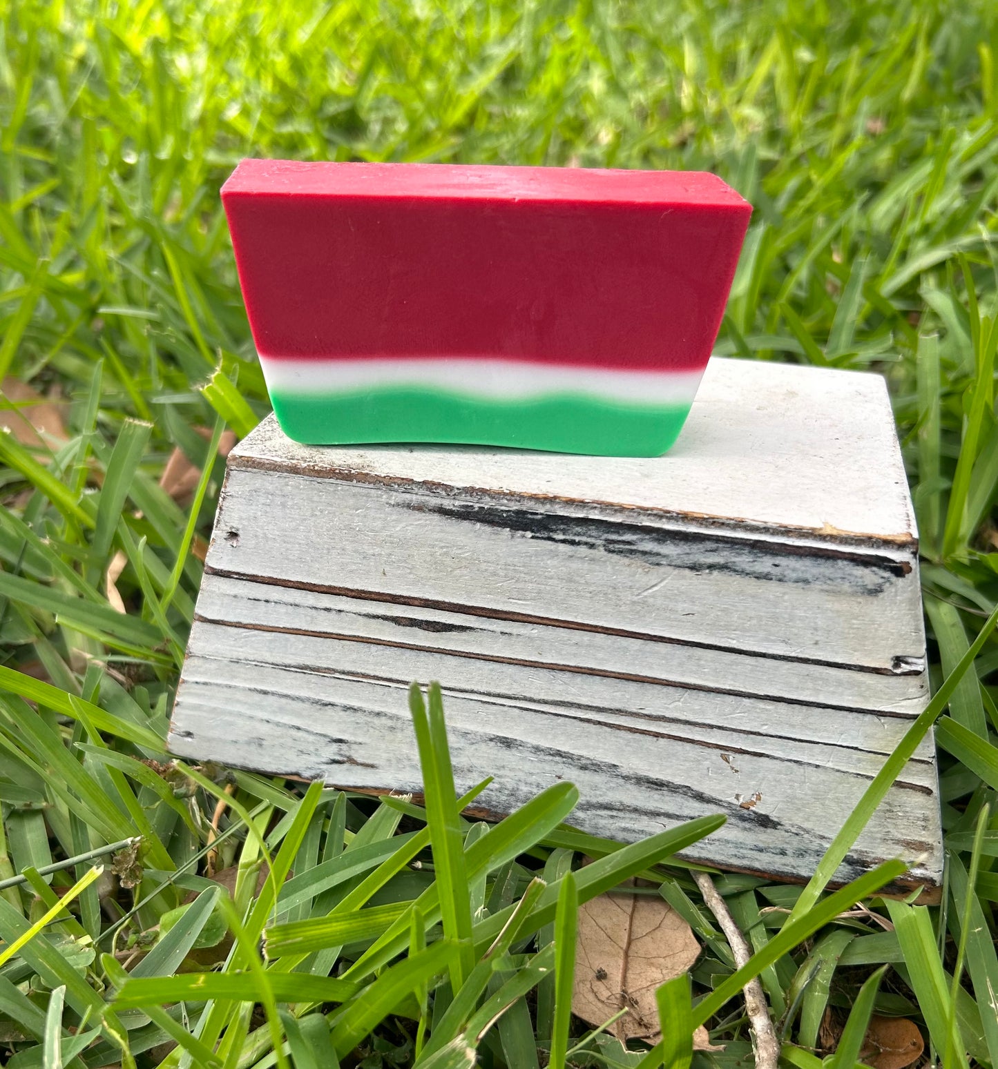 2 Piece Watermelon Goat’s Milk Soap