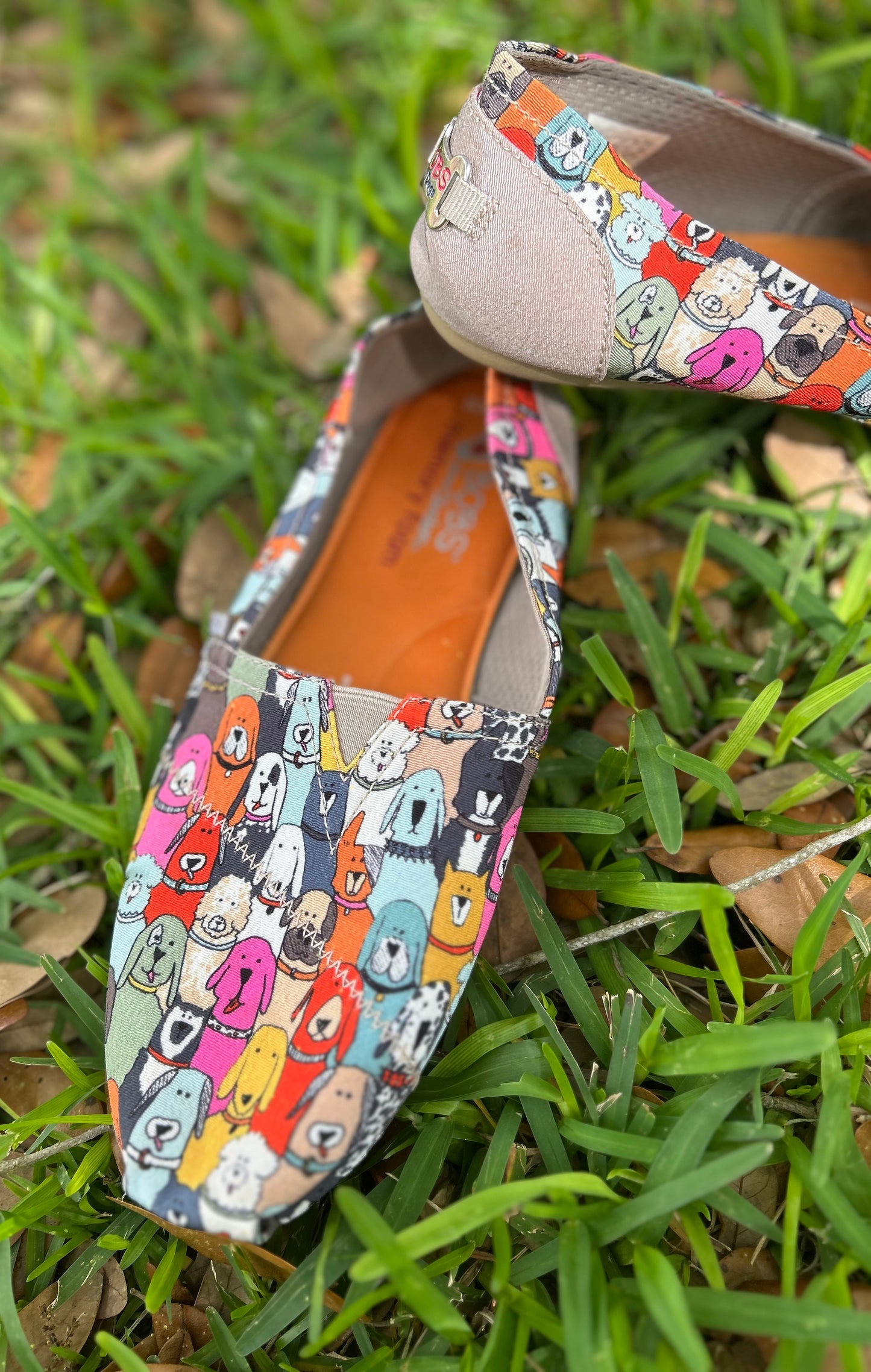BOBS from Skechers Colorful Slip-On Shoes