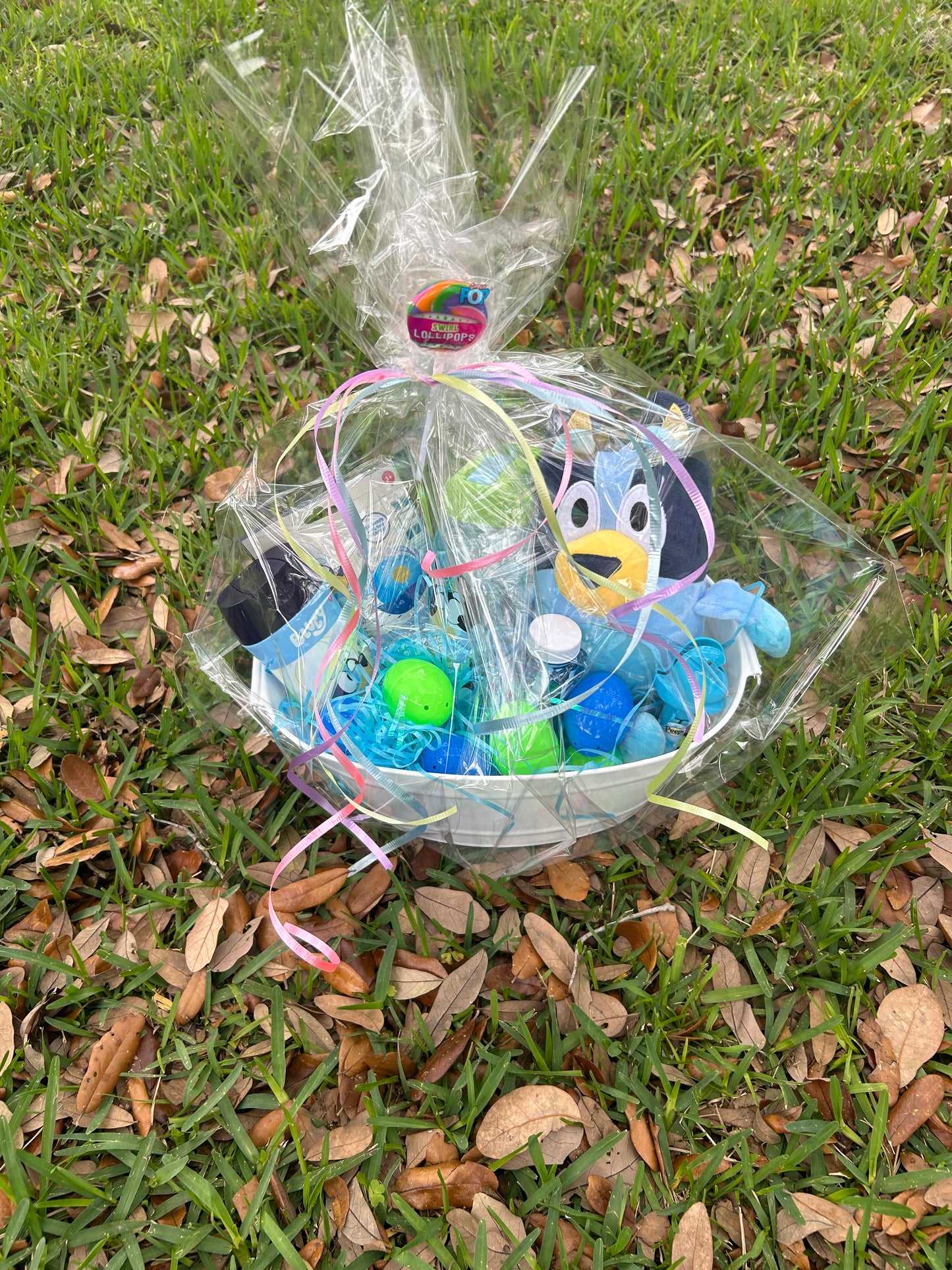 Bluey Easter Basket Includes Egg Dying Kit