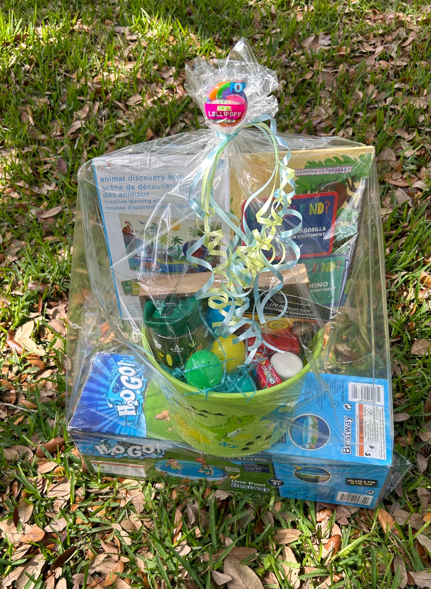 Dinosaur Easter Basket Includes Egg Dying Kit