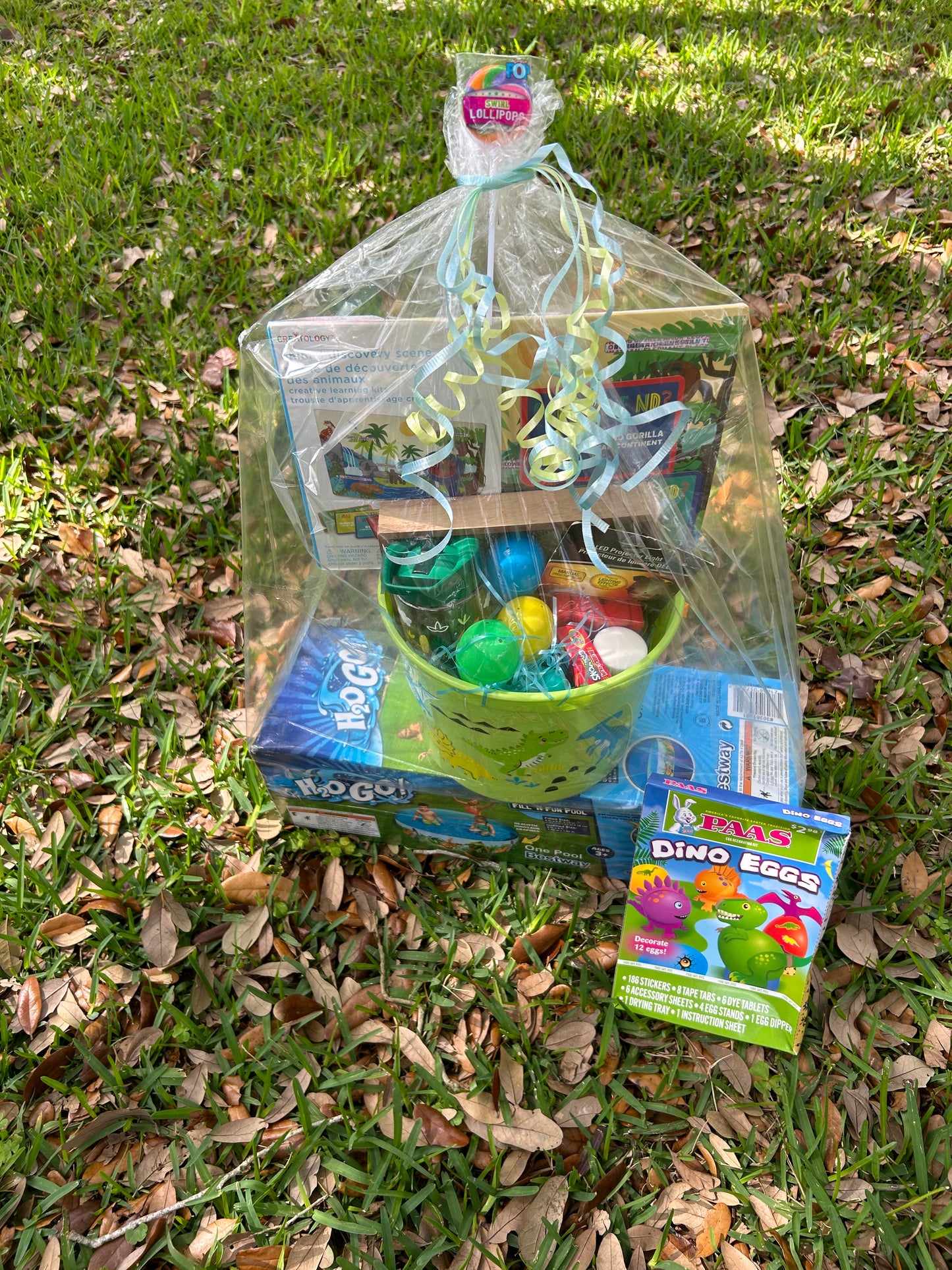 Dinosaur Easter Basket Includes Egg Dying Kit