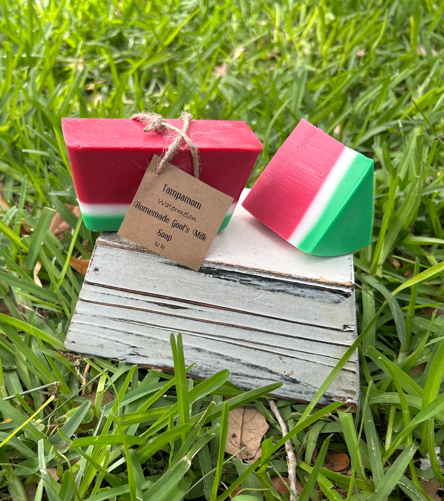 2 Piece Watermelon Goat’s Milk Soap