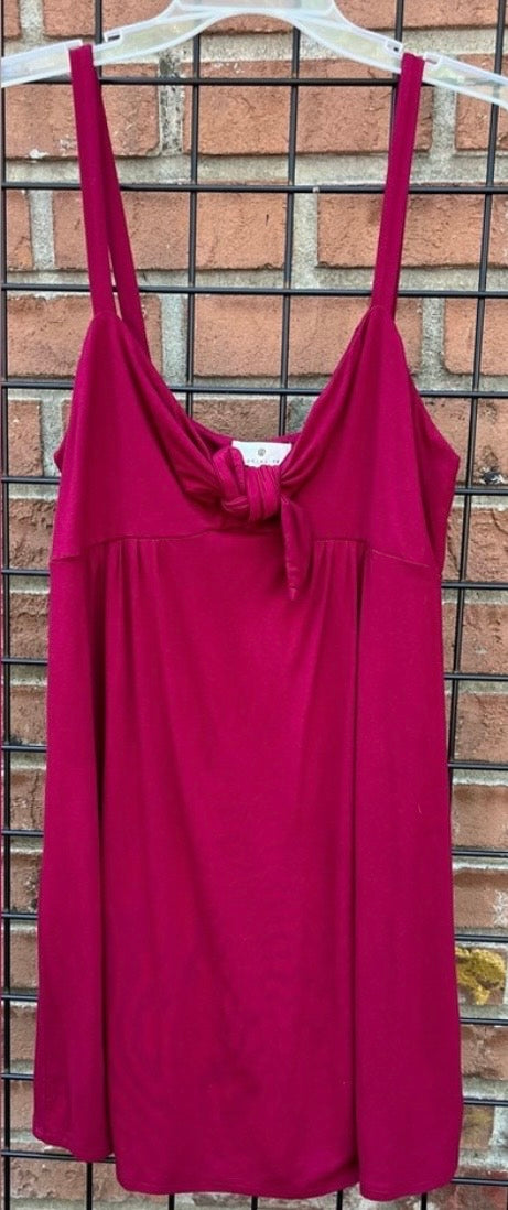 Socialite Maroon Dress