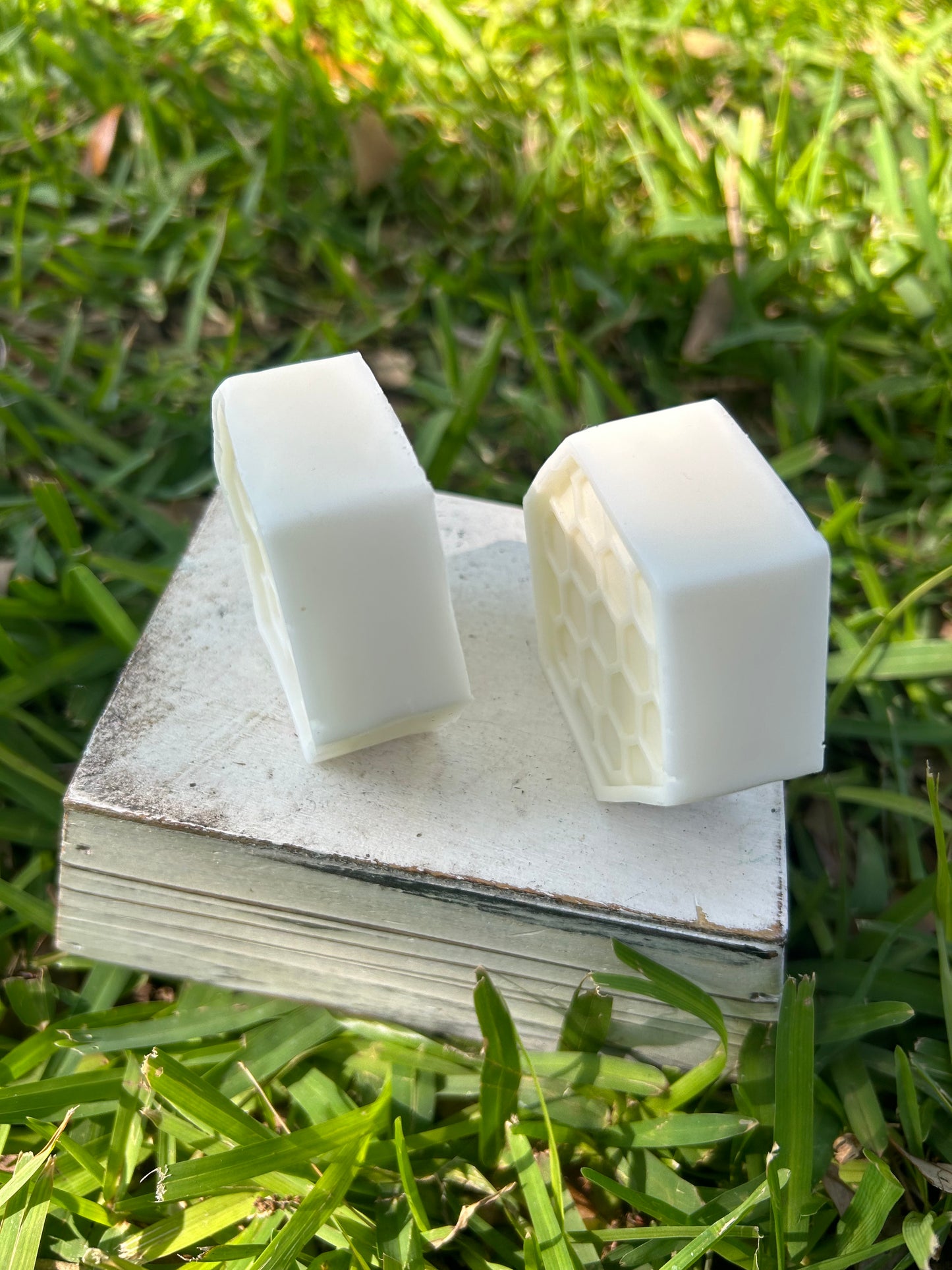 2 Piece Goat’s Milk Stain Remover Bars