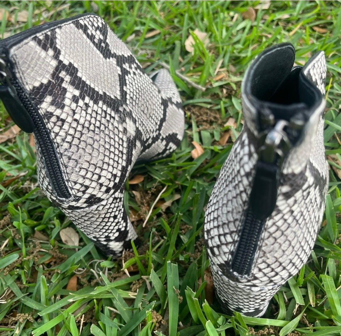 Bruno Premi Snakeskin Heeled Booties