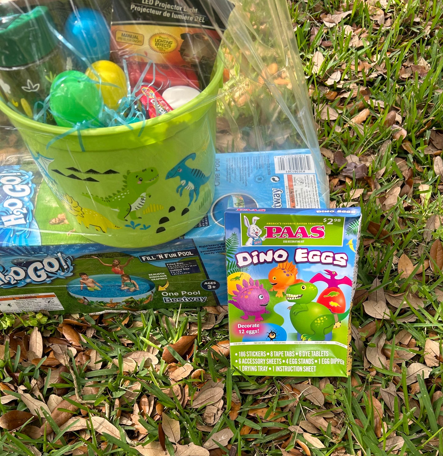 Dinosaur Easter Basket Includes Egg Dying Kit