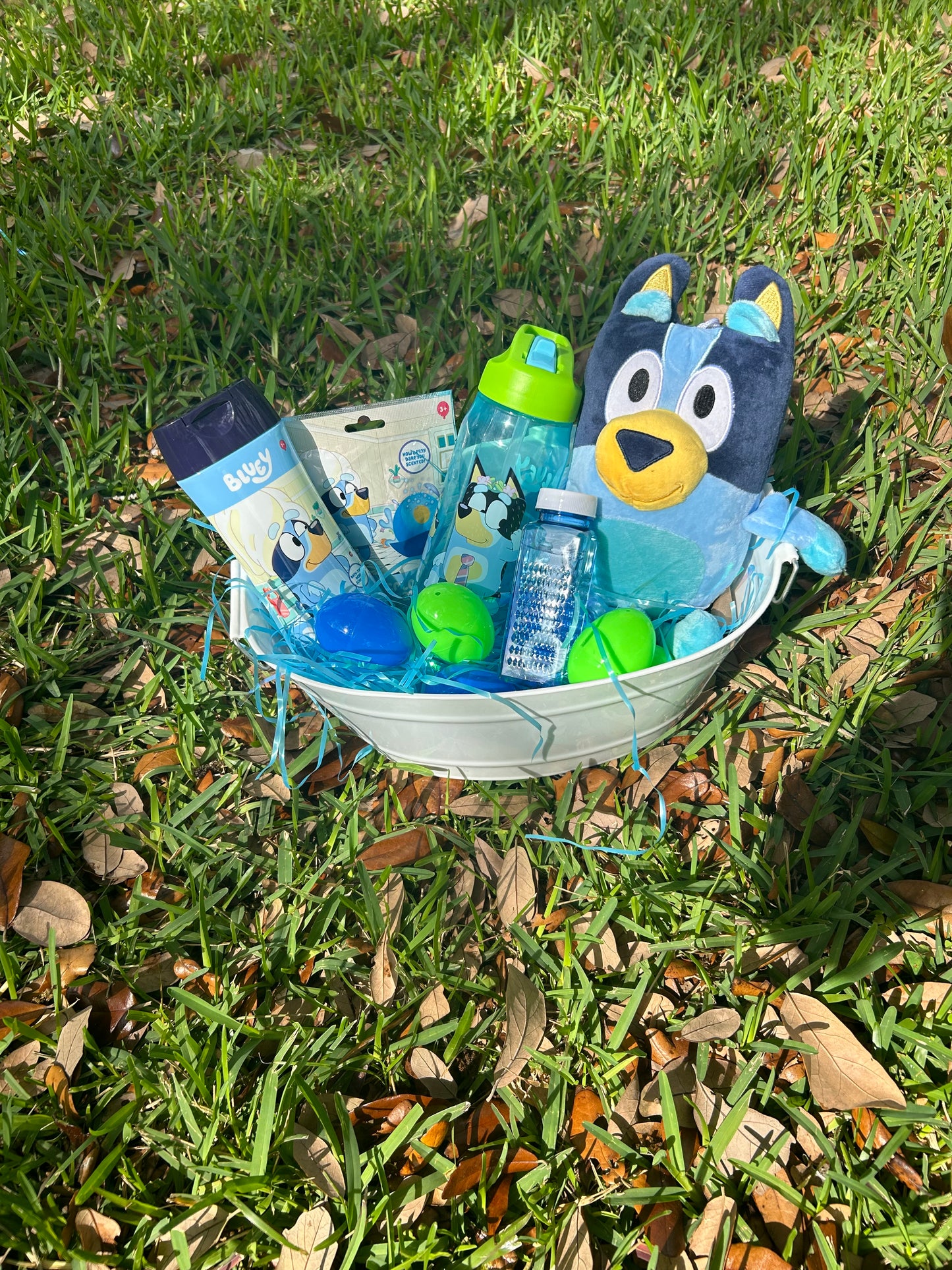 Bluey Easter Basket Includes Egg Dying Kit