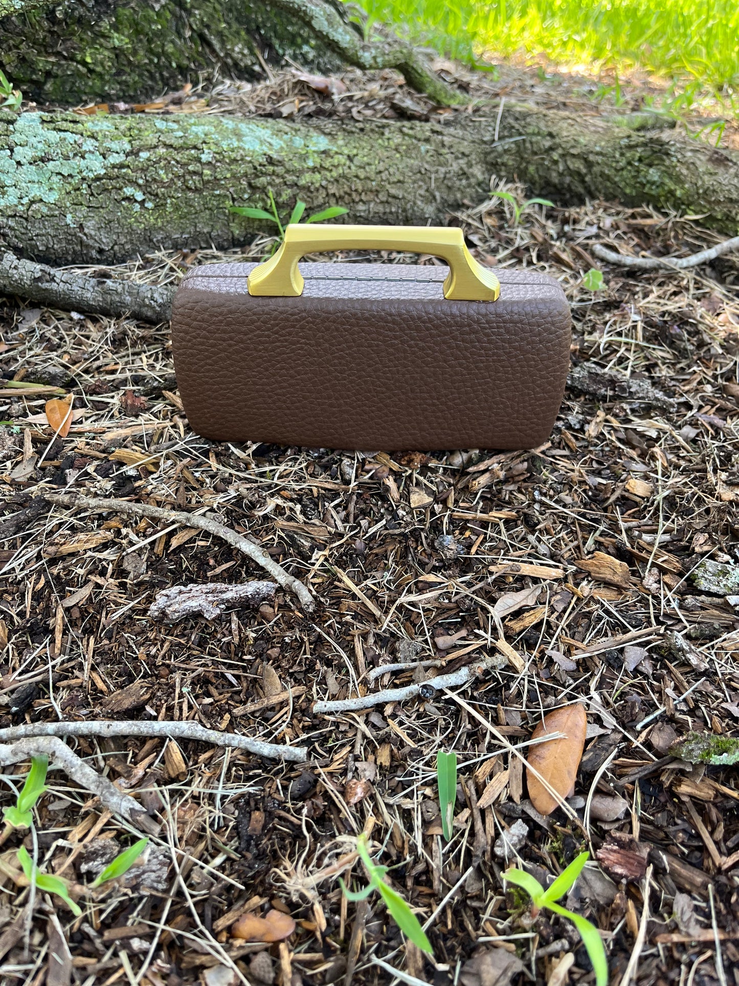 Louis Vuitton Sunglass Case / Clutch