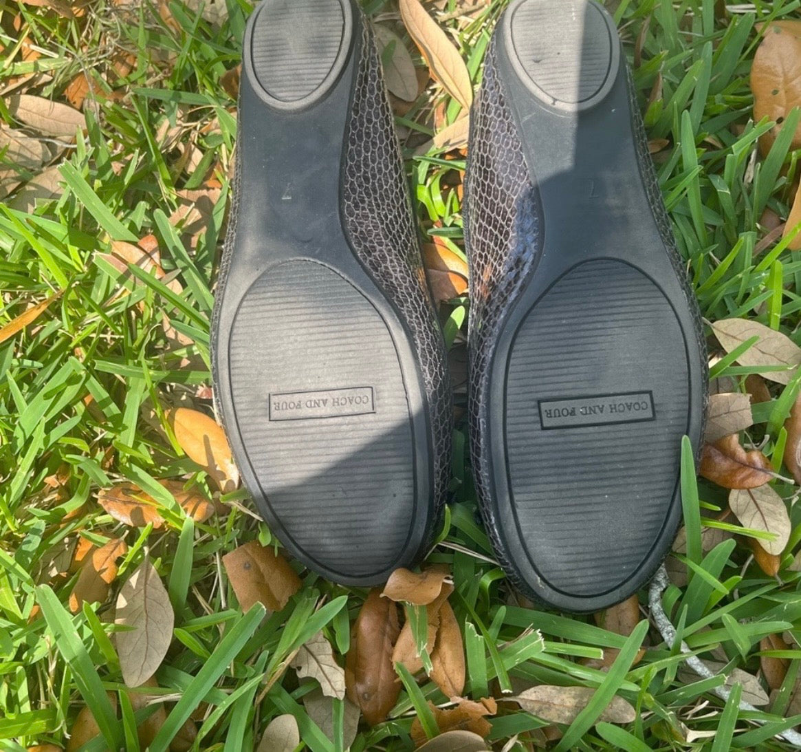 Coach and Four Flats
