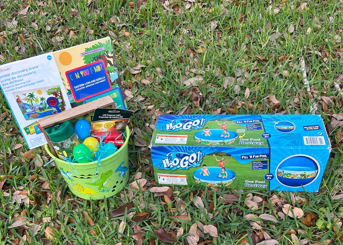 Dinosaur Easter Basket Includes Egg Dying Kit