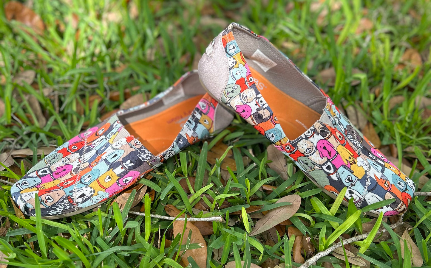 BOBS from Skechers Colorful Slip-On Shoes