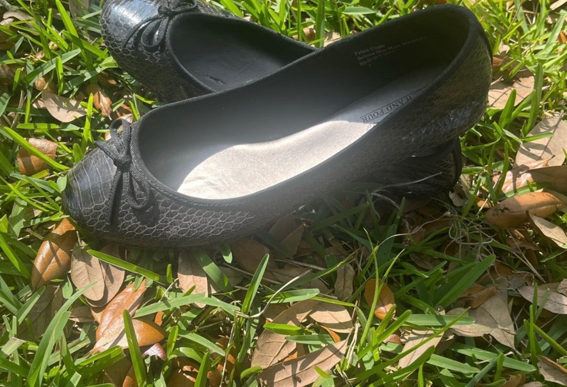Coach and Four Flats