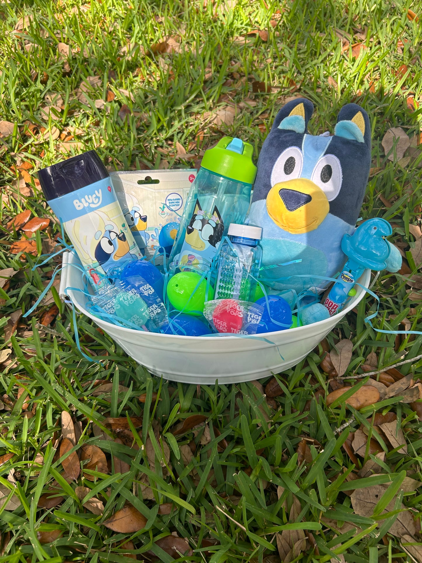 Bluey Easter Basket Includes Egg Dying Kit