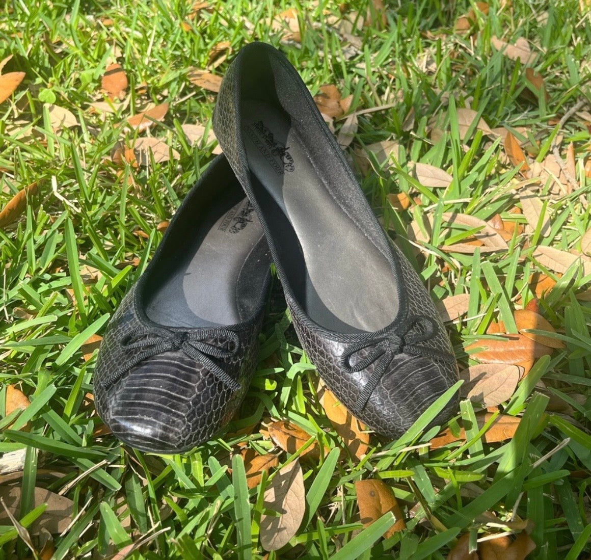 Coach and Four Flats
