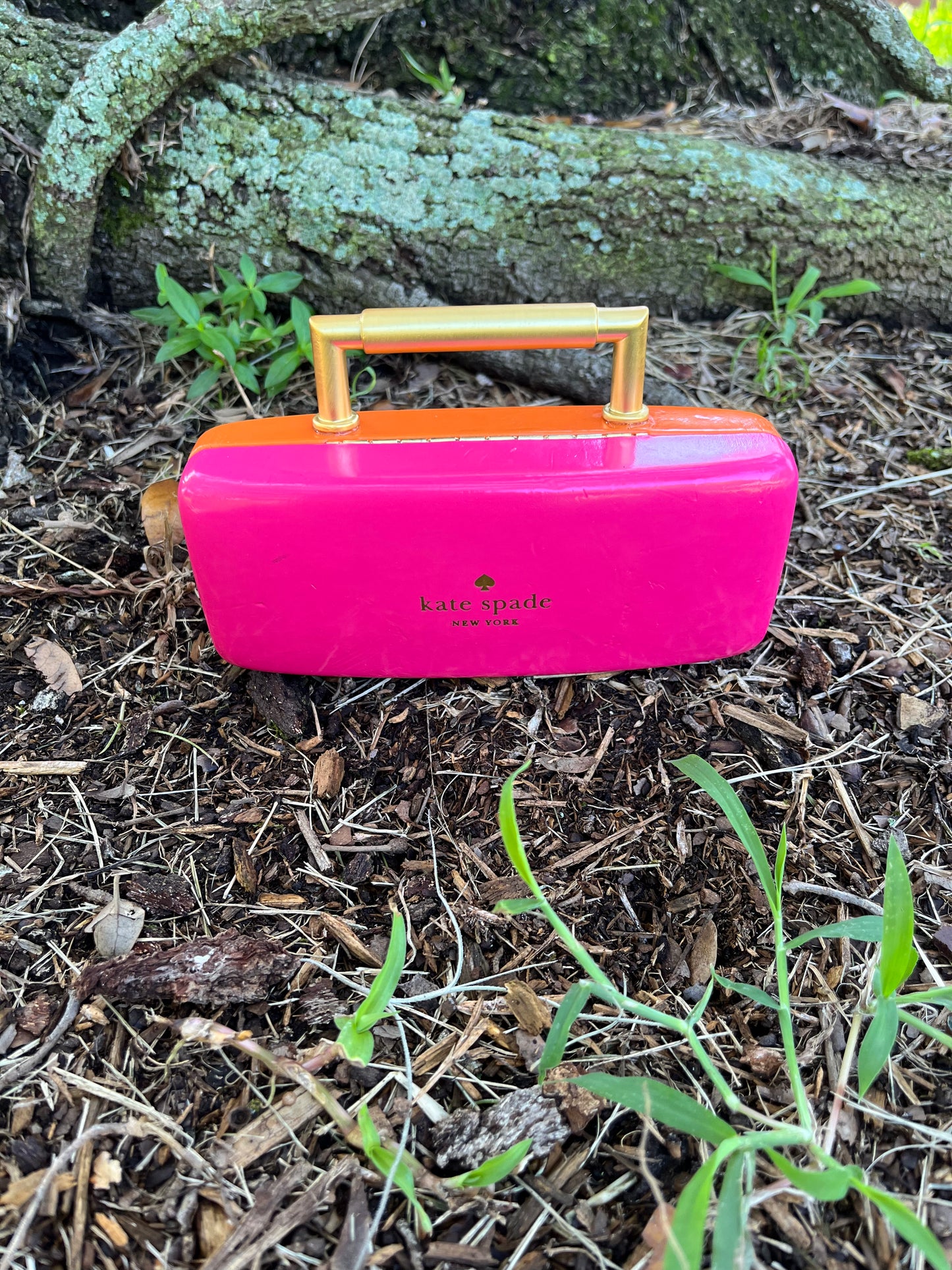 Kate Spade Sunglass Case / Clutch (Copy)