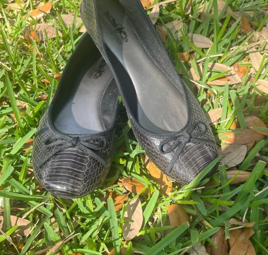 Coach and Four Flats