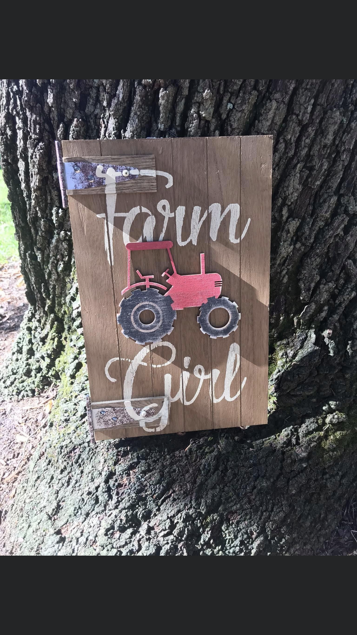 Farm Girl Barn Door Wall Hanging