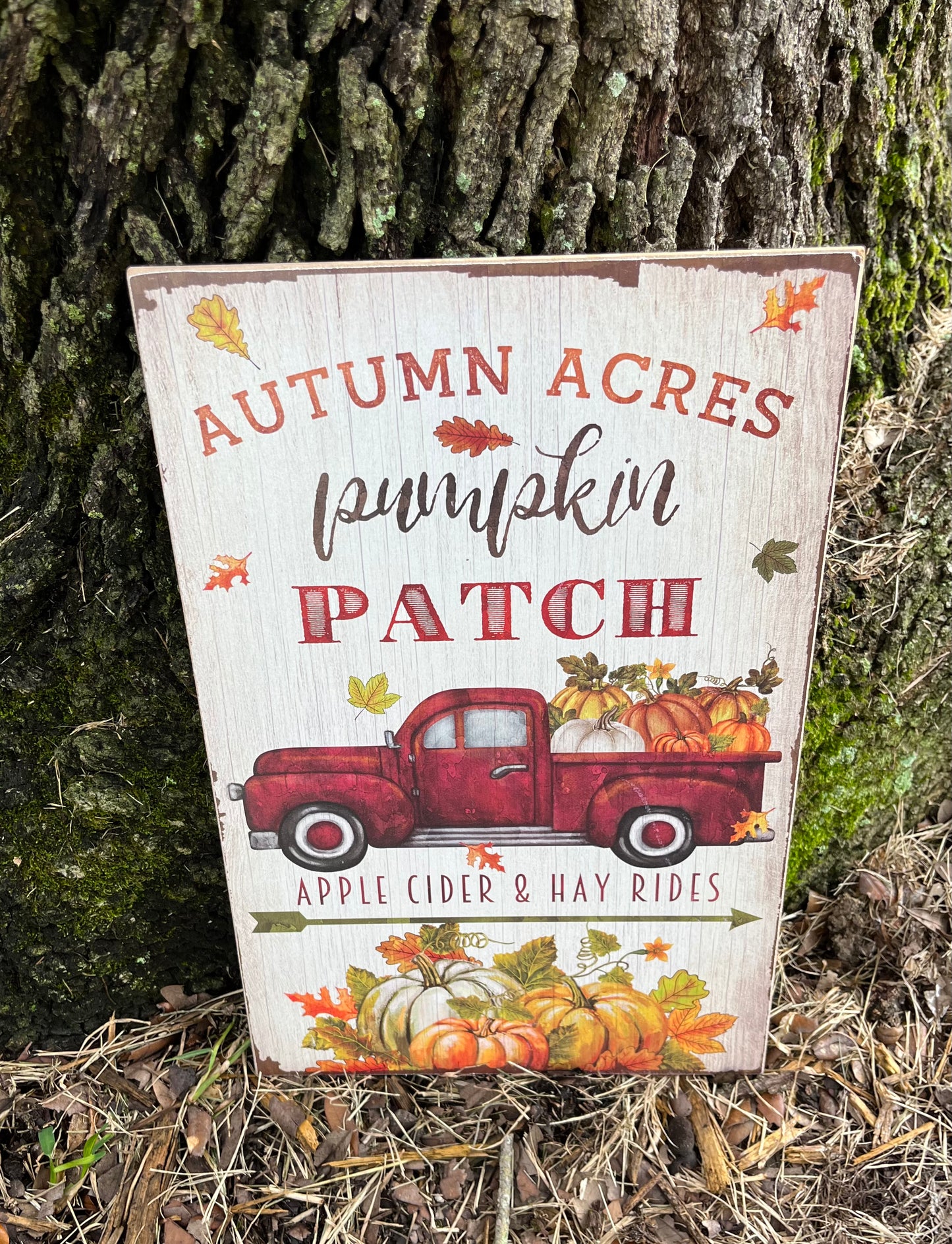 Autumn Acres Pumpkin Patch Wall Decor