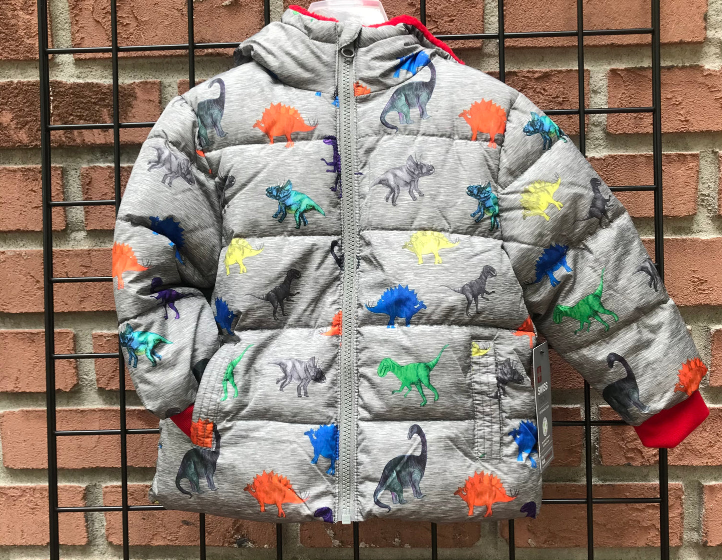 Dinosaur Jacket