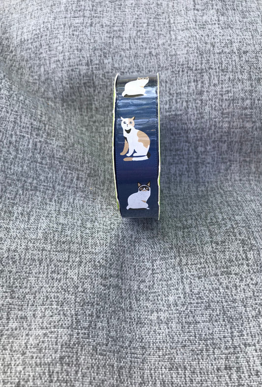 Ribbon