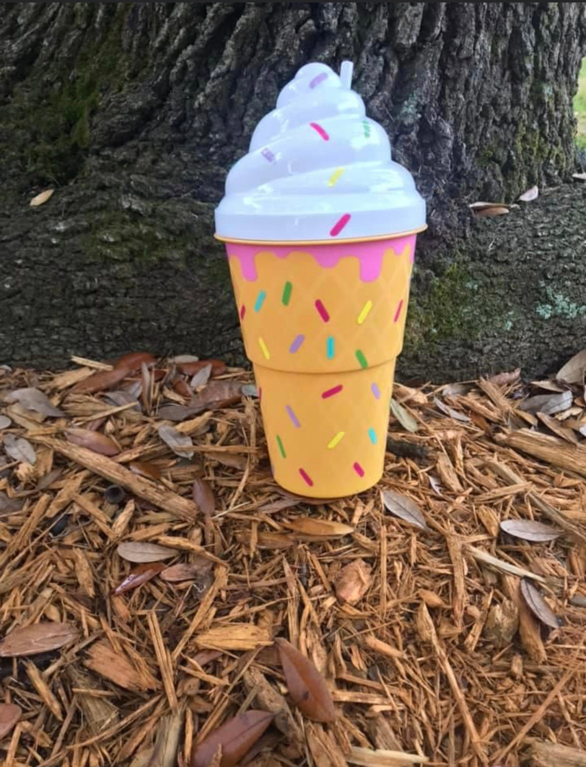 Personalized Ice Cream Cup