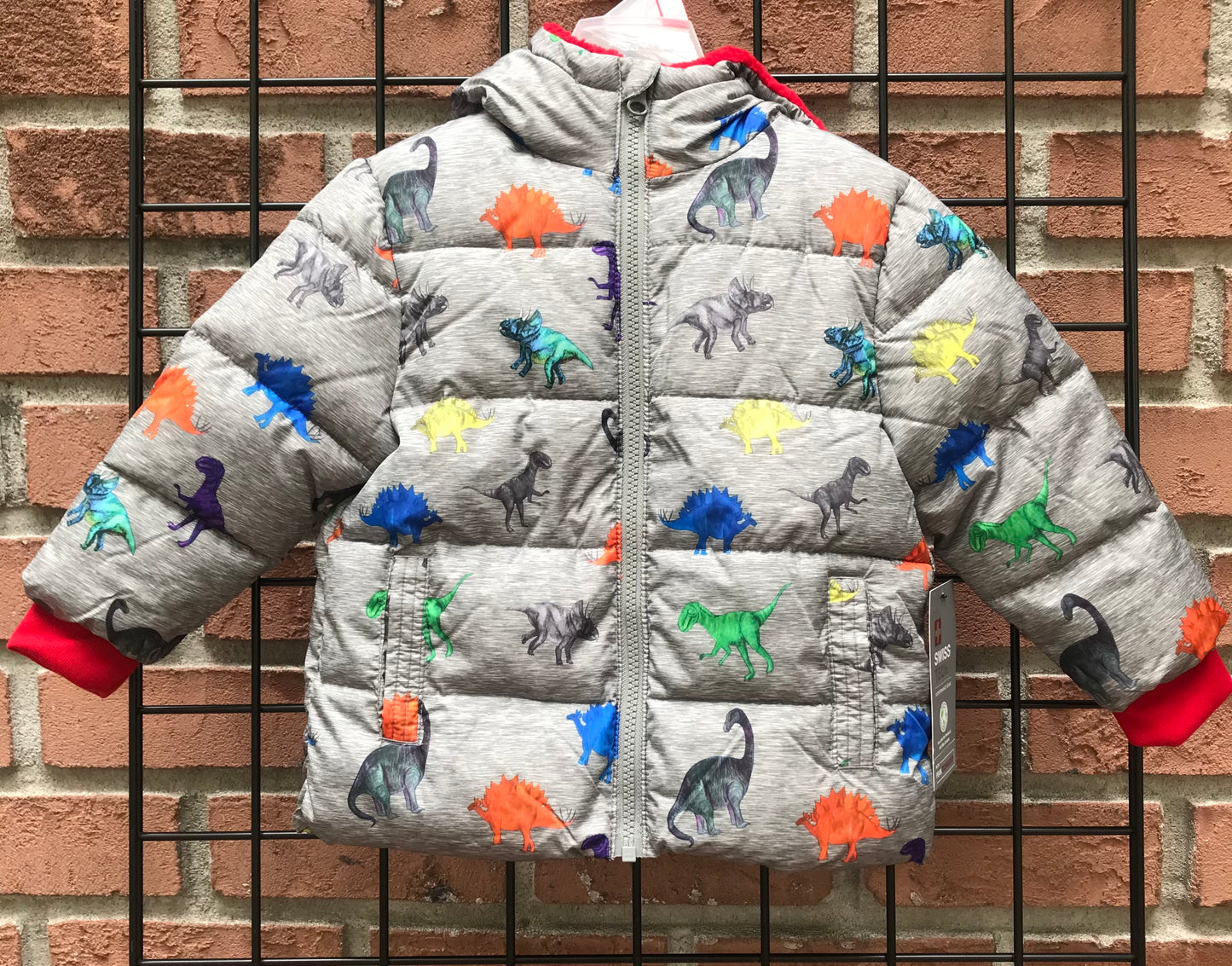 Dinosaur Jacket