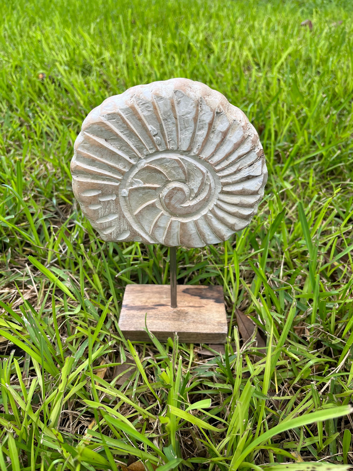 Coastal Shell Decor