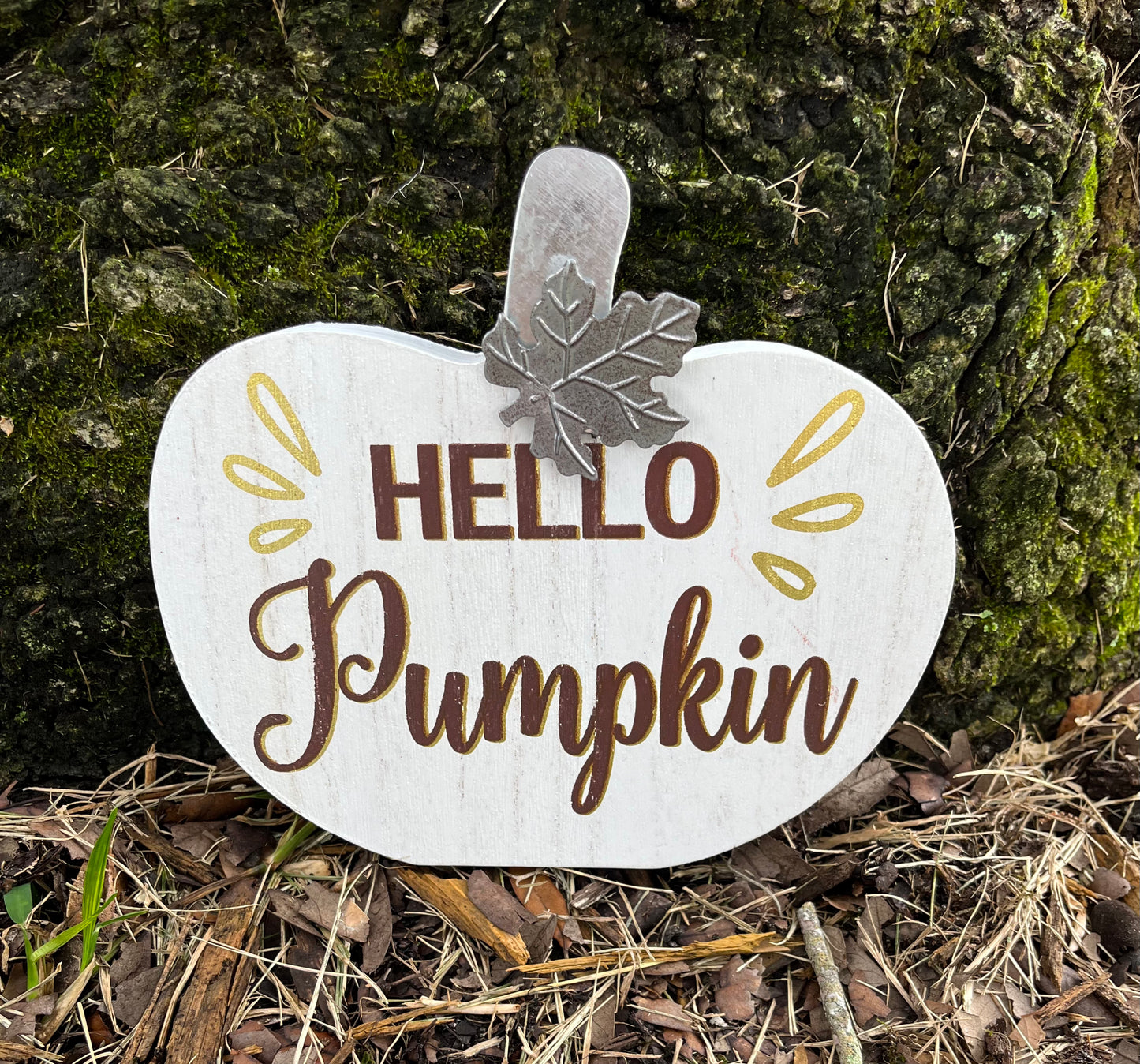 Wood hello pumpkin decor