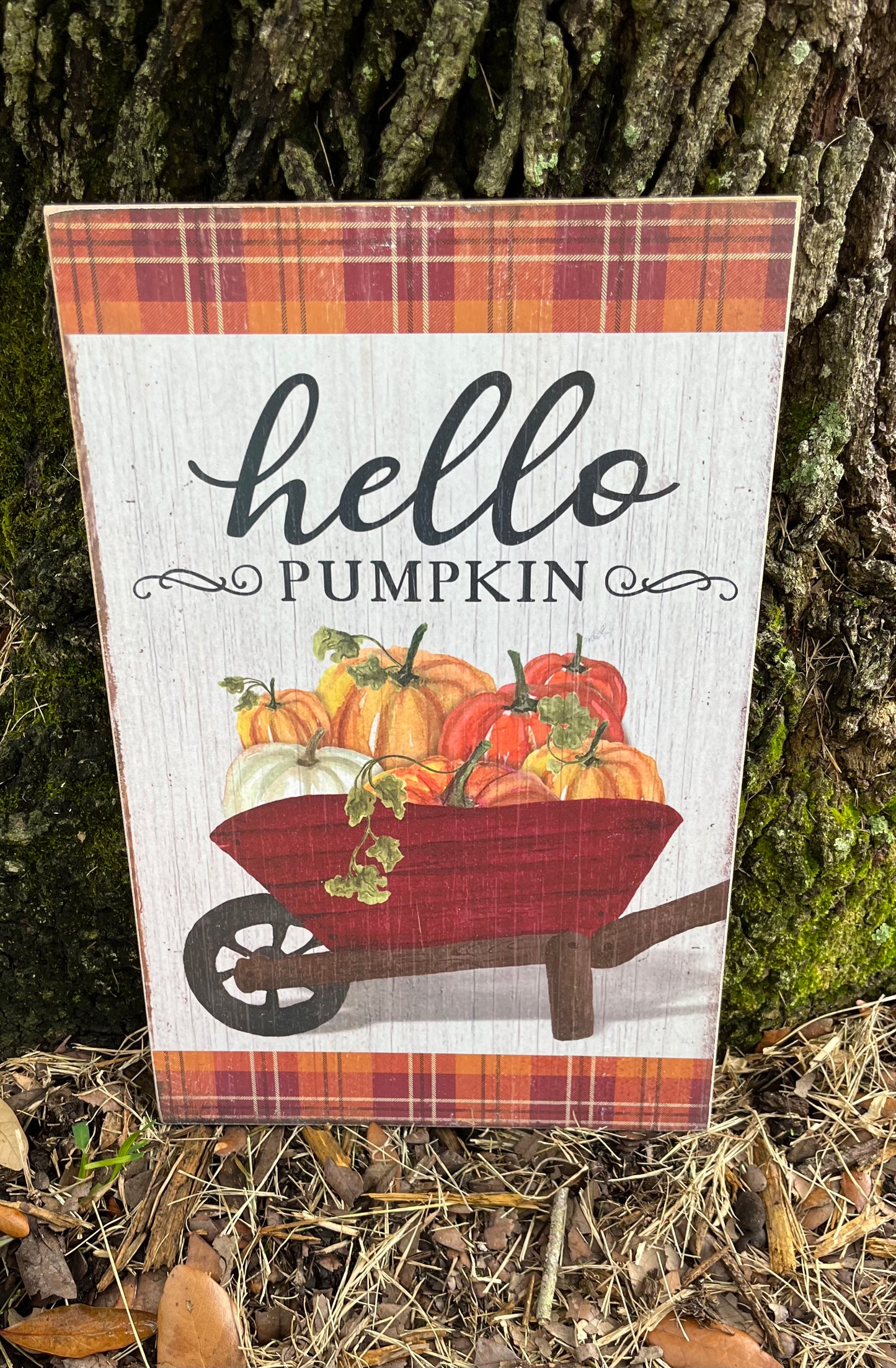 Hello Pumpkin Wall Decor