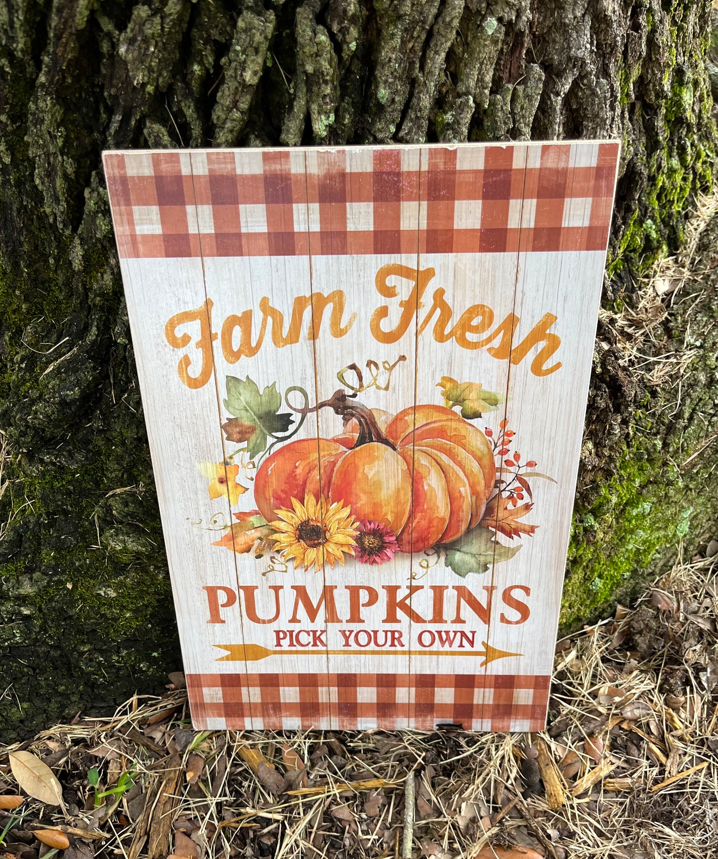 Farm Fresh Pumpkins Wall Decor